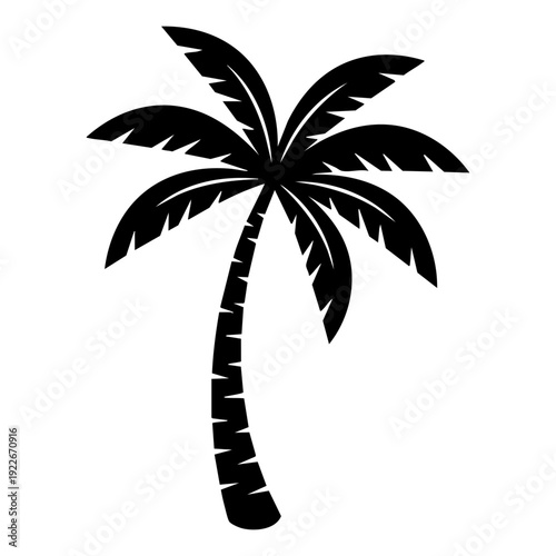 Single palm tree with long curved trunk and wide fan-shaped leaves