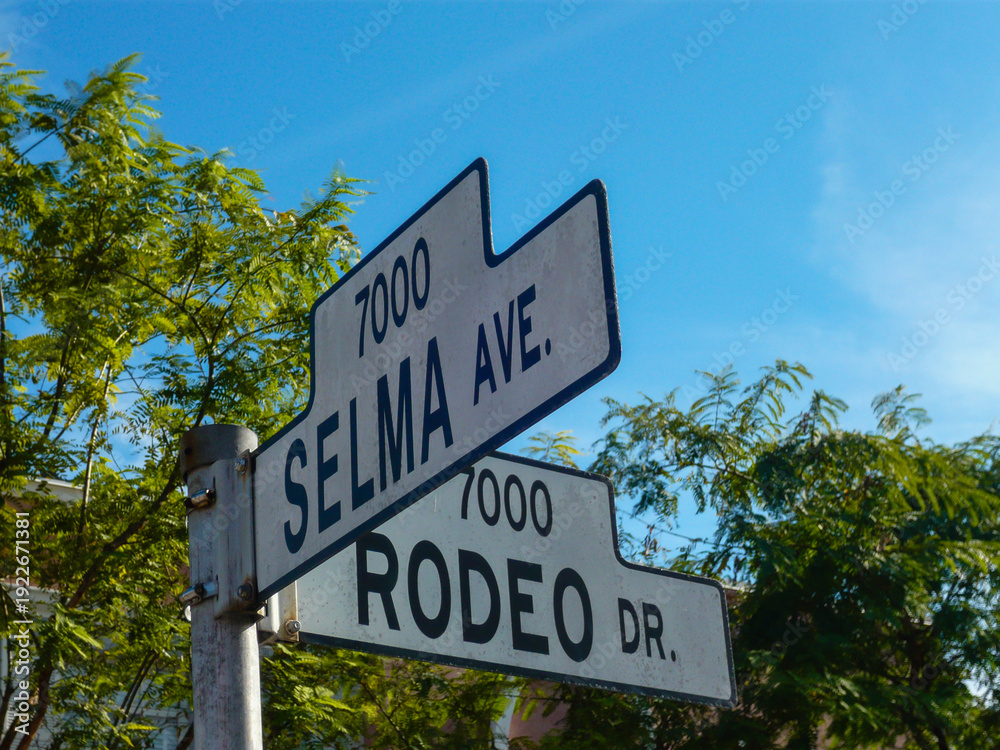 Fototapeta premium Sign for Selma Avenue and Rodeo Drive