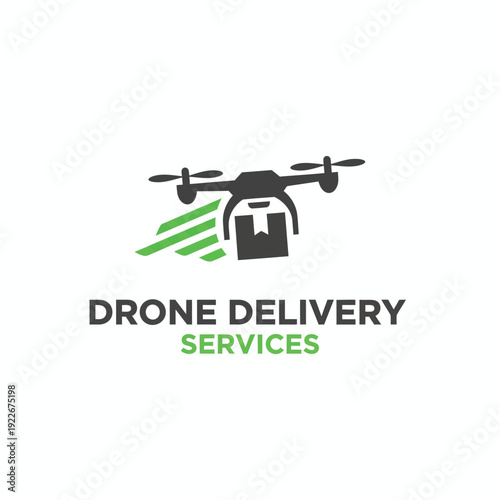 A logo depicts a drone with a package, text below states "Drone Delivery Services." The logo design is modern