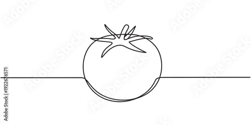 Continuous one line drawing of a single fresh tomato vegetable on white background Vector, illustration