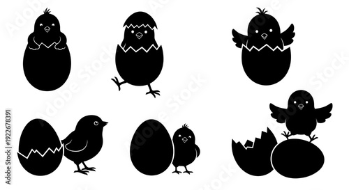 Cute Chick and Egg Silhouette Glyphs for Spring, Easter, and Nature Life Cycle Designs - Black and White Vector Icons