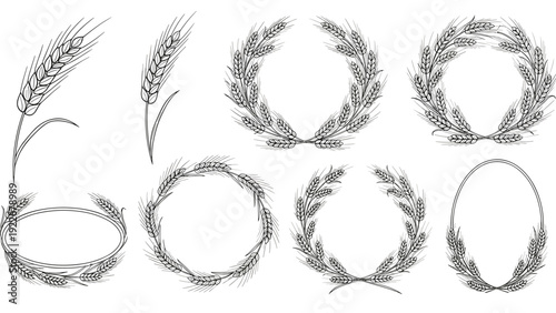 Delicate hand drawn wheat stalk and wreath illustrations in circular and oval frames for organic bakery and farm branding.