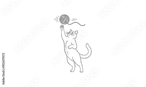Cat Playing with a Ball Illustration.