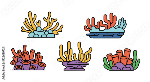 Coral Reef Line art minimal creative color vector