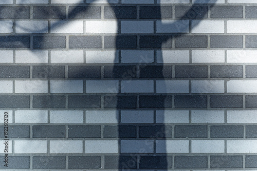 Minimalist Tree Shadow on Blue and Grey Brick Wall Texture A captivating close-up featuring the dark, organic shadow of a tree cast upon a modern brick wall with various shades of blue and grey