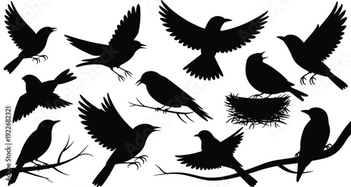 Black bird silhouettes collection set, flying and perching songbirds on branches, vector raven crow sparrow icons, nature wildlife illustration isolated, nest.