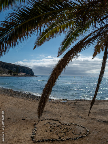 Tropical Palm Trees on Sandy Beach in Tenerife
