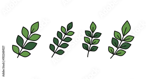 Curry leaf Line art soft tone color illustration