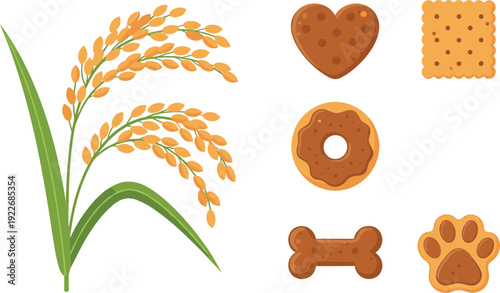 Grain plant and baked treats set with cookies and dog biscuits, food ingredient and pet snack illustration for agriculture and product design concepts