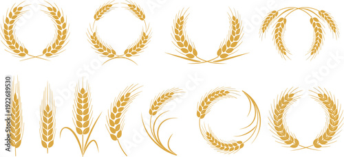 Golden wheat wreath and ears vector set. Harvest grain emblems and cereal frame collection. Agricultural logo elements isolated design.