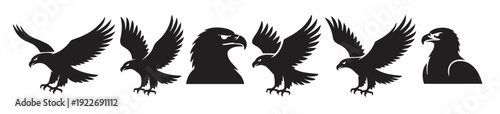  collection of black eagle silhouettes in various poses