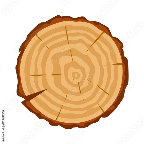 Tree trunk cut. Cartoon wood lumber saw cut, lumber wooden industry material flat vector illustration. Round trunk cut isolated on white background