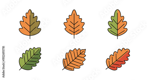 Elm leaf Line art clean modern creative illustration
