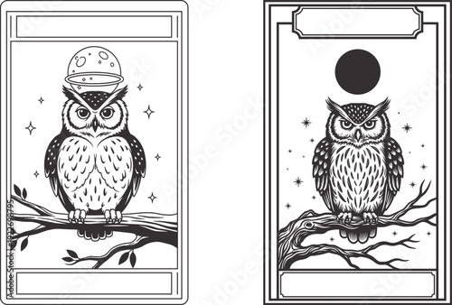 Tarot Card Illustrations of two owls perched on branches in rectangular frames