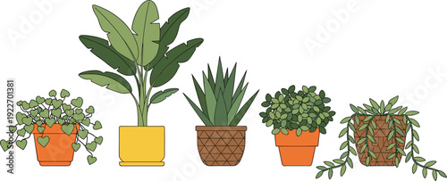 Collection of five hand drawn indoor potted plant illustrations including bird of paradise aloe vera and trailing ivy in colorful decorative pots.