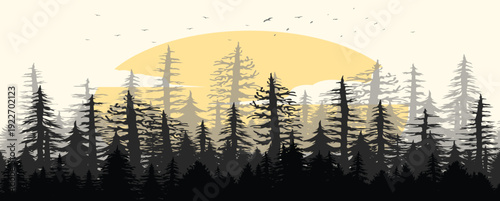 pine forest sunset landscape silhouette background
