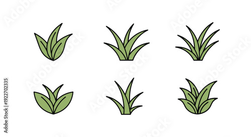 Grass leaf Line art modern color style illustration