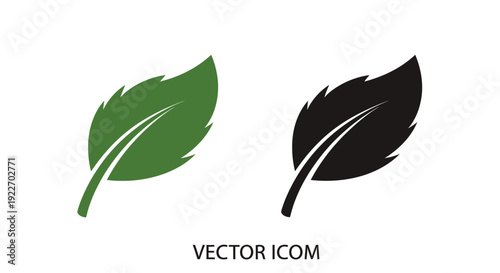 Green and black leaf vector design on white background Vector