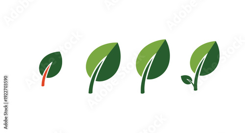 Growth leaf Line art simple creative color illustration