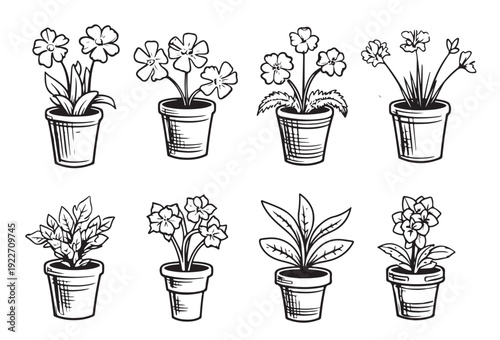 set of black and white illustrations of house plants 