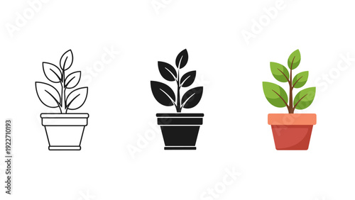 Three simple potted plant illustrations in different colors Vector