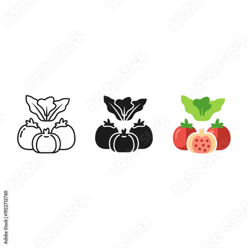 Variety of tomato illustrations in different styles and colors Vector