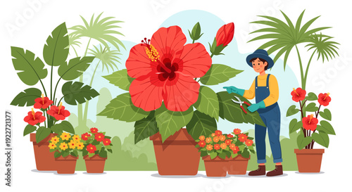 Gardener tending to a vibrant collection of potted plants and large hibiscus flower.