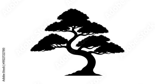 Black Silhouette of a Tree.