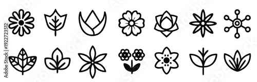 botanical line art collection assorted flower and leaf