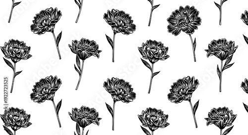Black and white Chrysanthemum flower pattern.