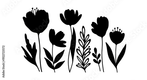 tulip flowers vector