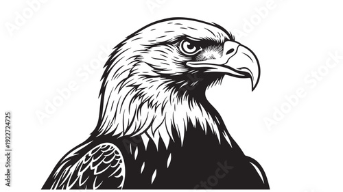 A majestic bald eagle's head and shoulders illustration, viewed from the side, showcasing its sharp beak and piercing gaze