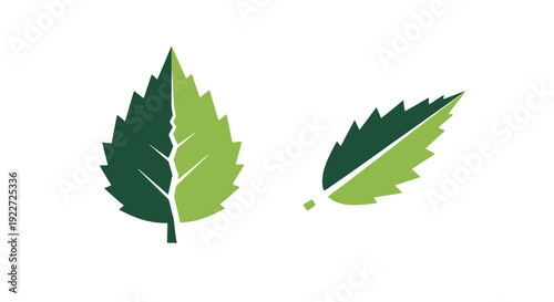 Jagged leaf Line art modern soft tone illustration