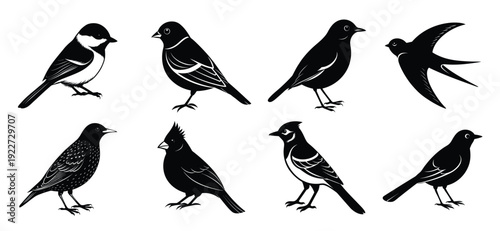 nine silhouette bird illustrations songbird swallow