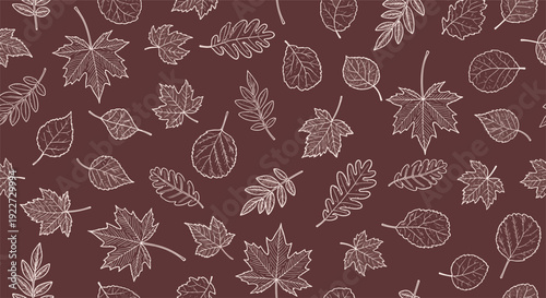 Warm seamless pattern of white leaf sketches including maple and oak varieties on a rich brown background for autumn themes.