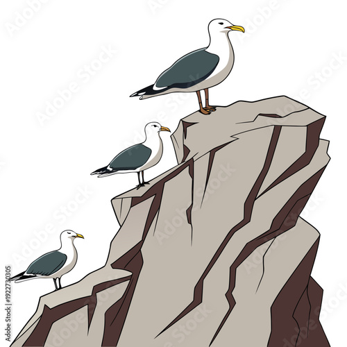 Seagulls standing on a rocky cliff