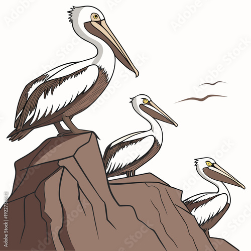 Three pelicans perched on a brown rock formation