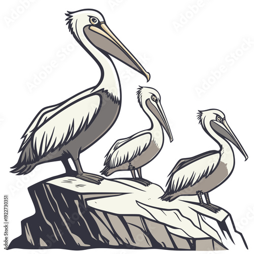 Three pelicans perched on a rock formation