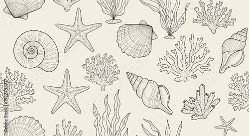 Marine life seamless pattern with hand drawn seashells, corals, and starfish in a vintage line art style.