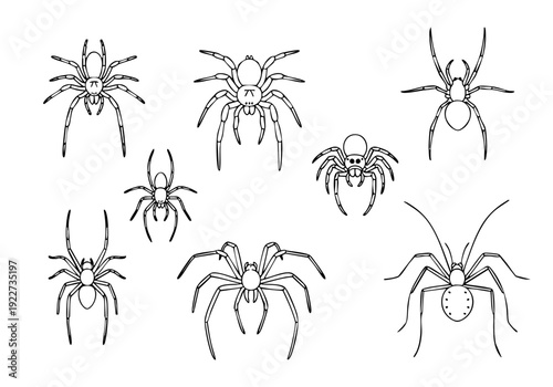 Minimalist Line Art Spider Silhouette Creepy Crawly Halloween Insect Elements