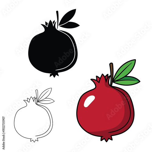Pomegranate fruit icons in silhouette outline and color styles on transparent b