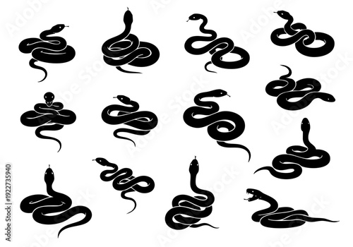 Black Silhouette Various Poses Snake Serpent Reptile Animal Silhouette Illustration