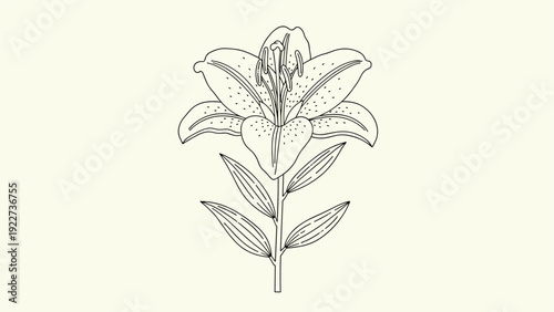 Elegant black and white line art drawing of a single lily flower on a stem with leaves against a soft pale yellow background.
