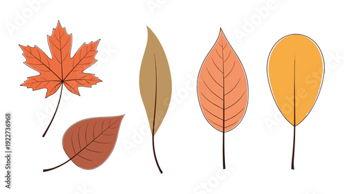 Collection of five hand drawn autumn leaves showcasing various shapes and warm colors like orange, yellow, and brown.