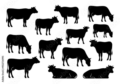Silhouette Collection of Farm Animal Cow Standing in Different Poses