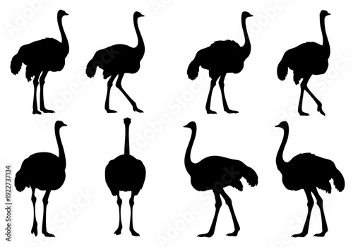 Simple Silhouette Ostrich Various Poses Wildlife Animal Bird Illustration