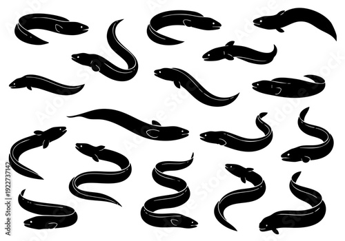 Minimalist Black Silhouette Eel Fish Different Pose Aquatic Illustration