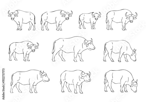 Outline Simple Buffalo Collection Animal Livestock Domesticated Farm Mammal Creature