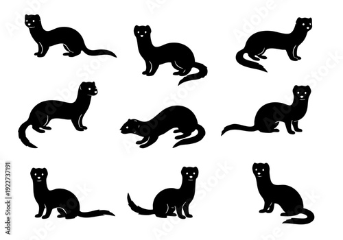 Simple Silhouette Stoat Animal Poses Illustration Set in Black Color