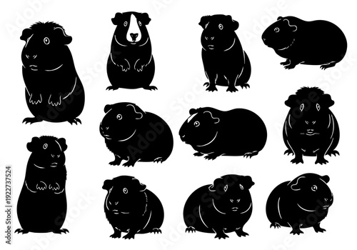Black Silhouette Set of Guinea Pig Rodent Pet Animal Illustration